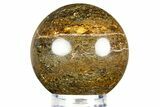 Golden Amphibolite Sphere - Western Australia #309133-1